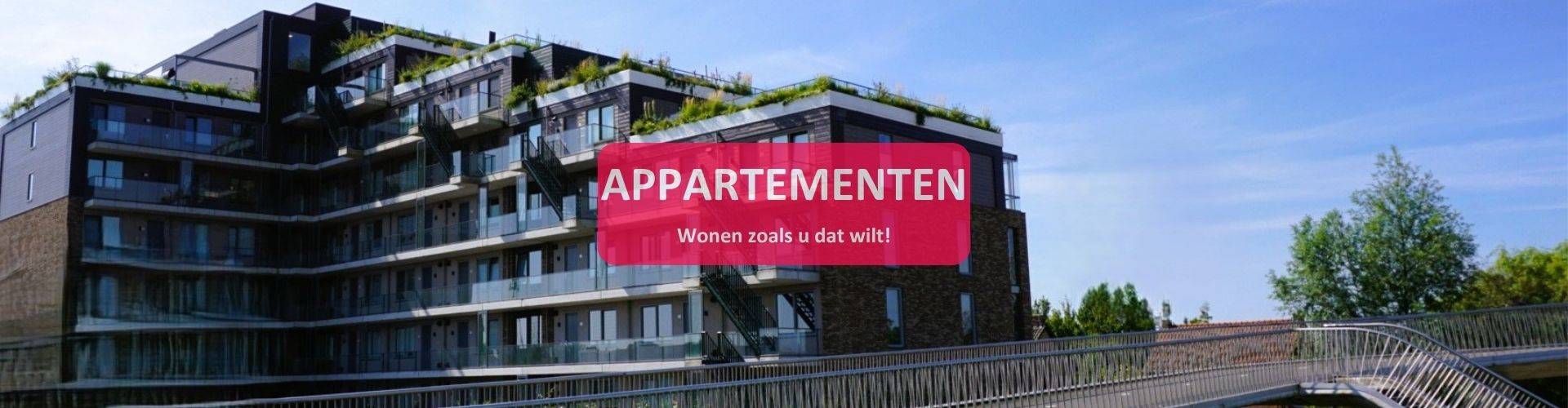 Home%20pagina%20nieuw%202