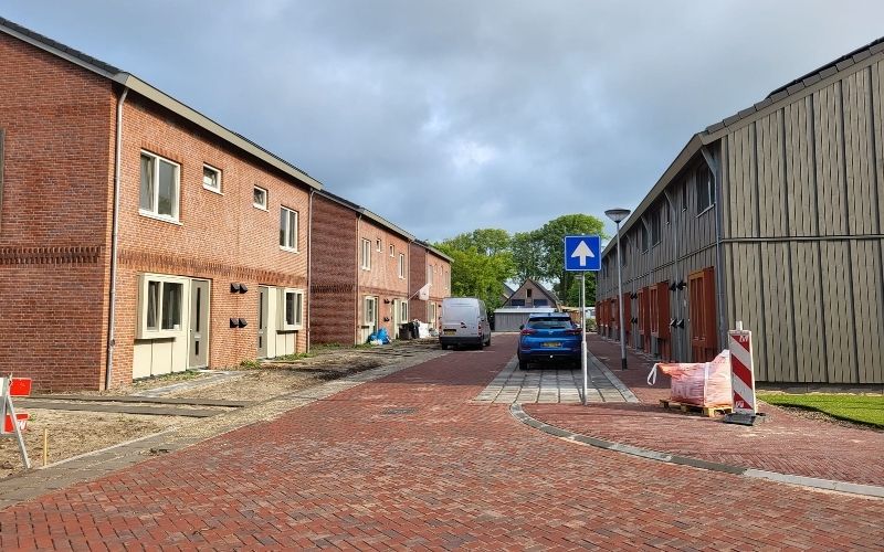 Koolvlinder%202%20kapper%202